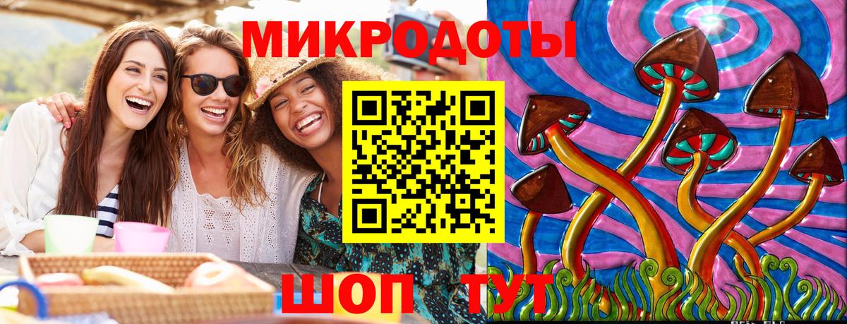 Псилоцибиновые грибы мицелий Вязьма