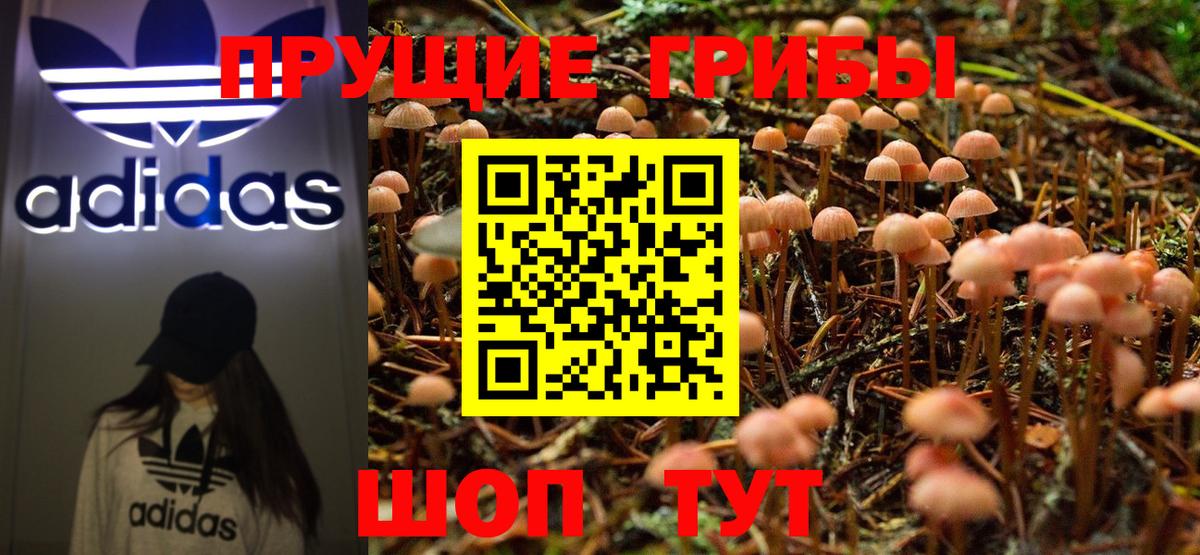 Галлюциногенные грибы Psilocybine cubensis  Псилоцибиновые грибы прущие грибы  Вход с VPN  Вязьма 